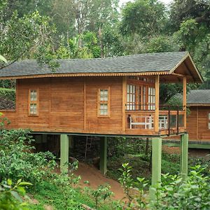 Wooden Chalet